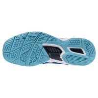 Кроссовки для зала Mizuno WAVE STEALTH 6 (X1GA243001)