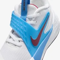 Nike Team Hustle D 12 Little дитячі Кросівки колір білий