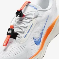 Nike Pegasus EasyOn синийprint мужские Road Running Кроссовки многоцветный