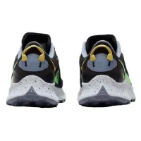 Кроссовки Мужские Nike Pegasus Trail 3 (DA8697 004)