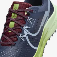 Nike Pegasus Trail 4 жіноча Trail Running взуття Blue