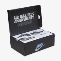 Nike Air Max Plus Кросівки колір чорний