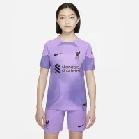 Liverpool FC 2022/23 Stadium Goalkeeper Big детские Nike Dri-FIT Soccer Jersey цвет фиолетовый