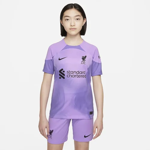 Liverpool FC 2022/23 Stadium Goalkeeper Big детские Nike Dri-FIT Soccer Jersey цвет фиолетовый