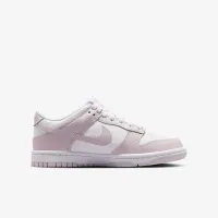Nike Dunk Low Big детские Кроссовки цвет белый