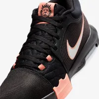 Nike LeBron Witness VIII баскетбольні Кросівки колір чорний