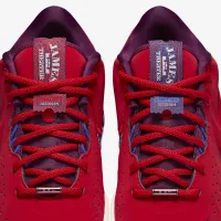 Nike LeBron XXI SE 