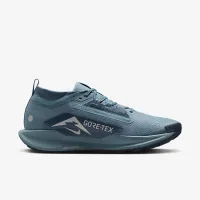 Nike Pegasus Trail 5 GORE-TEX мужские Waterproof Trail Running Кроссовки синий