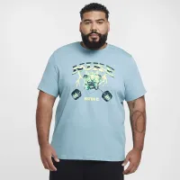 Nike чоловічі Fitness футболка блакитний