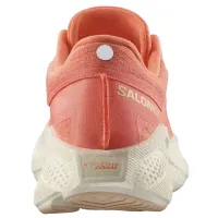 Кроссовки для бега Мужские Salomon AERO GLIDE 3 (478107)
