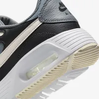 Nike Air Max SC чоловічі Кросівки колір сірий