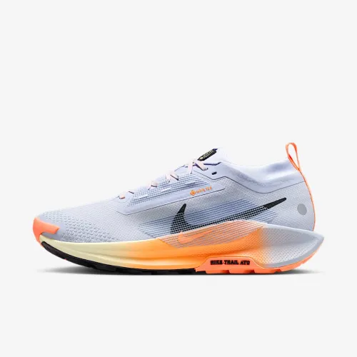 Nike Pegasus Trail 5 GORE-TEX мужские Waterproof Trail Running Кроссовки цвет серый