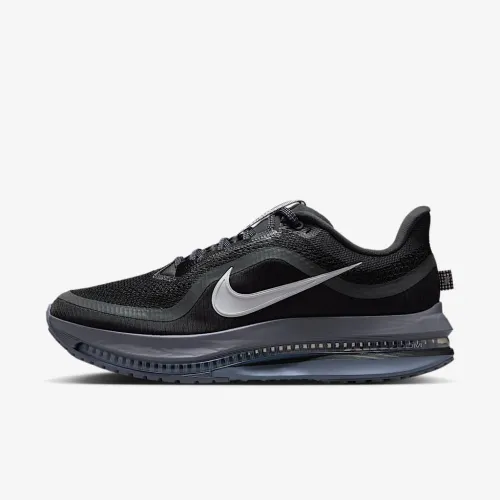 Nike Pegasus Premium мужские Road Running Кроссовки цвет серый