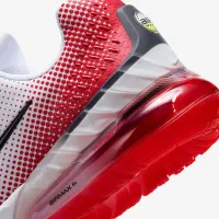 Nike Air Max Phoenix чоловічі Кросівки колір білий