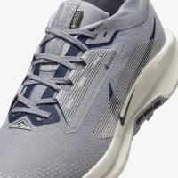 Nike Pegasus Trail 5 GORE-TEX чоловічі Waterproof Trail Running Кросівки колір сірий