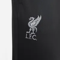 Liverpool FC Strike чоловічі Nike Dri-FIT Soccer Hooded Knit Tracksuit колір сірий