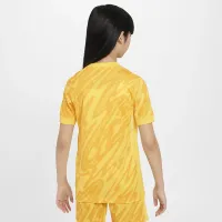Tottenham Hotspur 2024/25 Stadium Goalkeeper Big дитячі Nike Dri-FIT Soccer Short-Sleeve Replica Jersey Yellow
