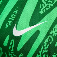 Paris Saint-Germain 2024/25 Stadium Goalkeeper чоловічі Nike Dri-FIT Soccer Replica Long-Sleeve Jersey колір зелений