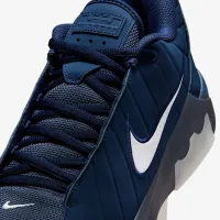 Nike LeBron Witness 9 баскетбольные Кроссовки синий