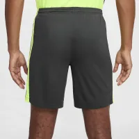 Nike Dri-FIT Academy чоловічі Dri-FIT Soccer шорти колір сірий