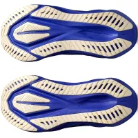 Кроссовки для бега ASICS NOVABLAST 5 (1011B974 004)