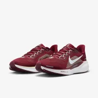 Florida State Pegasus 41 чоловічі Nike College Road Running Кросівки колір червоний