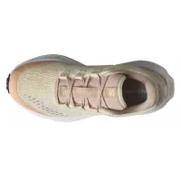 Кроссовки для бега Женские Salomon AERO GLIDE 3 GRVL (478125)