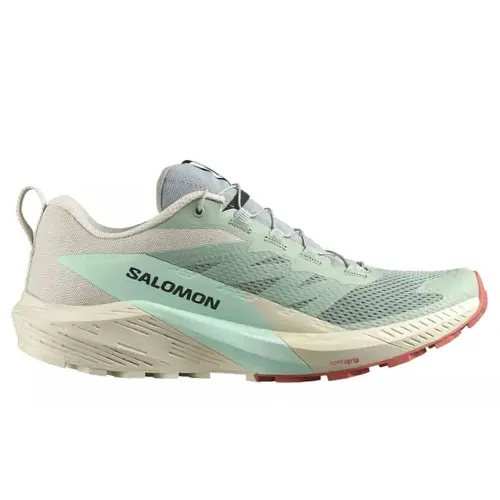 Кросівки для бігу Чоловічі Salomon SENSE RIDE 5 (472117)