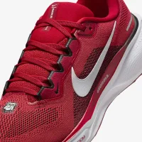 Georgia Pegasus 41 чоловічі Nike College Road Running Кросівки колір червоний