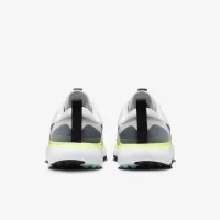 Nike Infinity Ace Next Nature для гольфу Кросівки колір сірий