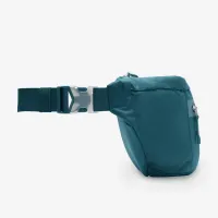 Nike Elemental Premium Fanny Pack (8L) колір зелений