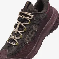 Nike ACG Mountain Fly 2 Low GORE-TEX чоловічі Кросівки колір коричневий