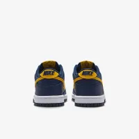 Nike Dunk Low Big дитячі Кросівки блакитний