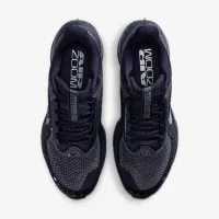 Nike Pegasus Premium SE женская Road Running Кроссовки цвет фиолетовый