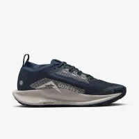 Nike Pegasus Trail 5 GORE-TEX женская Waterproof Trail Running Кроссовки синий