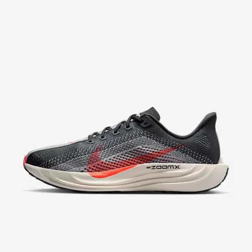 Nike Pegasus Plus мужские Road Running Кроссовки цвет серый