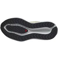 Кроссовки для бега Женские Salomon AERO GLIDE 3 GRVL (478125)
