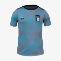 Chicago Stars FC 2025 мужские Nike NWSL Short-Sleeve Pre-Match Top синий