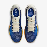 Nike Pegasus 41 чоловічі Road Running Кросівки блакитний