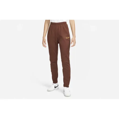 Штани спортивні Nike Therma-FIT Academy Winter Warrior DC9123-273 - Бежеві