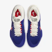 Nike GP Challenge Pro Premium мужские Hard Court Tennis Кроссовки цвет фиолетовый