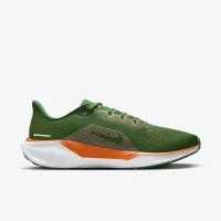 FAMU Pegasus 41 мужские Nike College Road Running Кроссовки цвет зеленый
