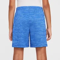 Nike Multi Big дитячі (для хлопчиків) Dri-FIT шорти блакитний