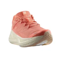 Кроссовки для бега Мужские Salomon AERO GLIDE 3 (478107)