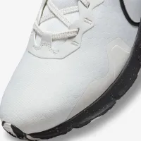 Nike Legend Essential 2 Premium жіноча тренувальні Кросівки колір сірий