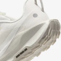 Nike Pegasus Trail 5 жіноча Trail Running Кросівки колір сірий