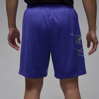 Nike Jordan Sport мужские Dri-FIT Graphic шорты цвет фиолетовый