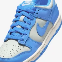 Nike Dunk Low Big детские Кроссовки цвет серый
