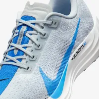 Nike Pegasus Plus мужские Road Running Кроссовки цвет серый