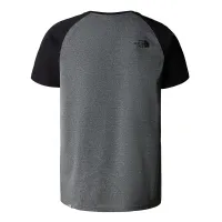 Футболка The North Face Raglan Easy T937FVJBV - Серая